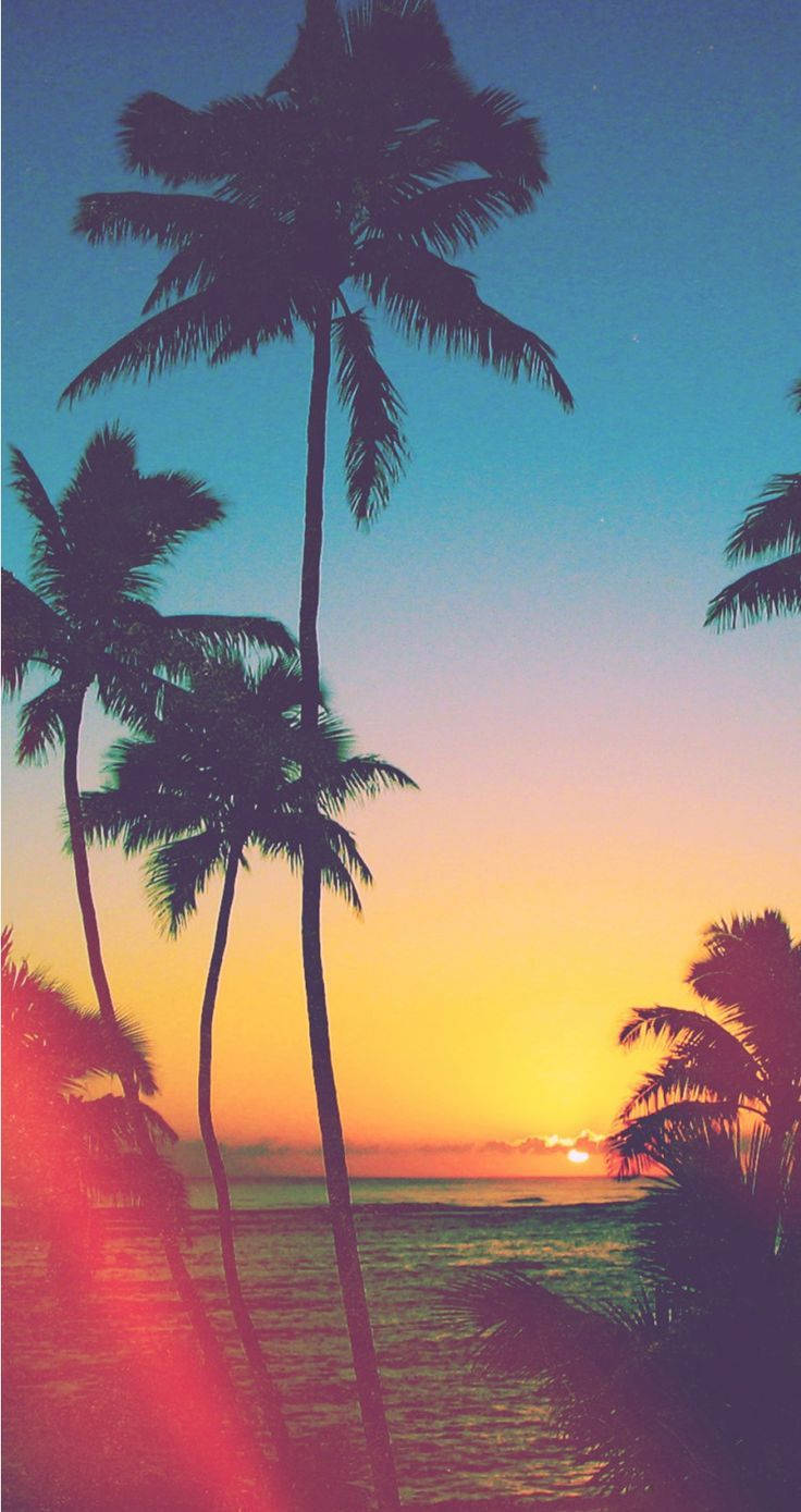 Tropical Beach Paradise Sunset iPhone Wallpaper