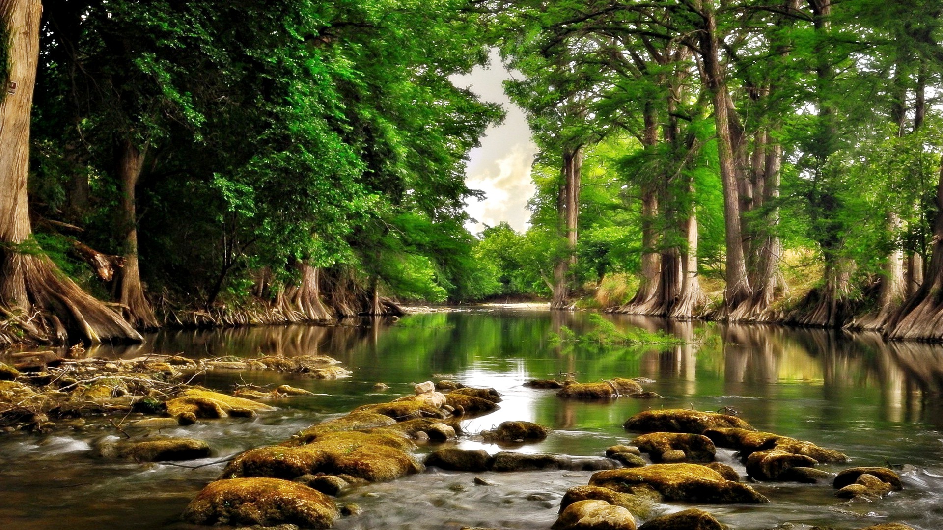HD Wallpaper