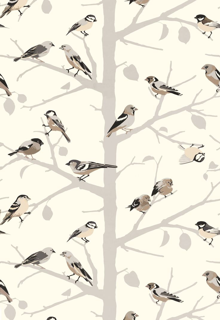 Bird Wallpaper Pattern Bird on branches wallpaper 736x1071