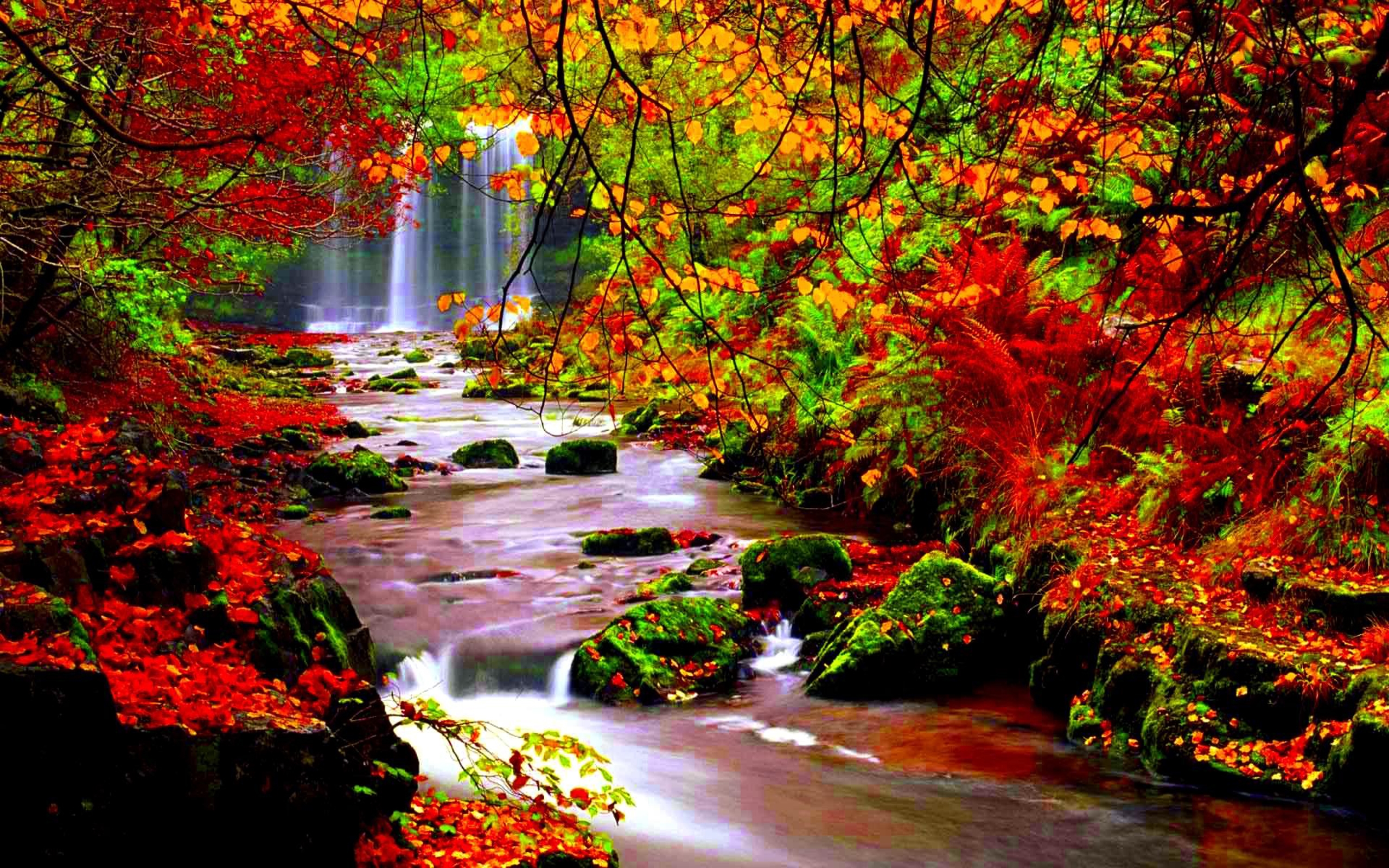 Autumn River Wallpaper Hd   Fall Leaves And Water Hd Wallpapers