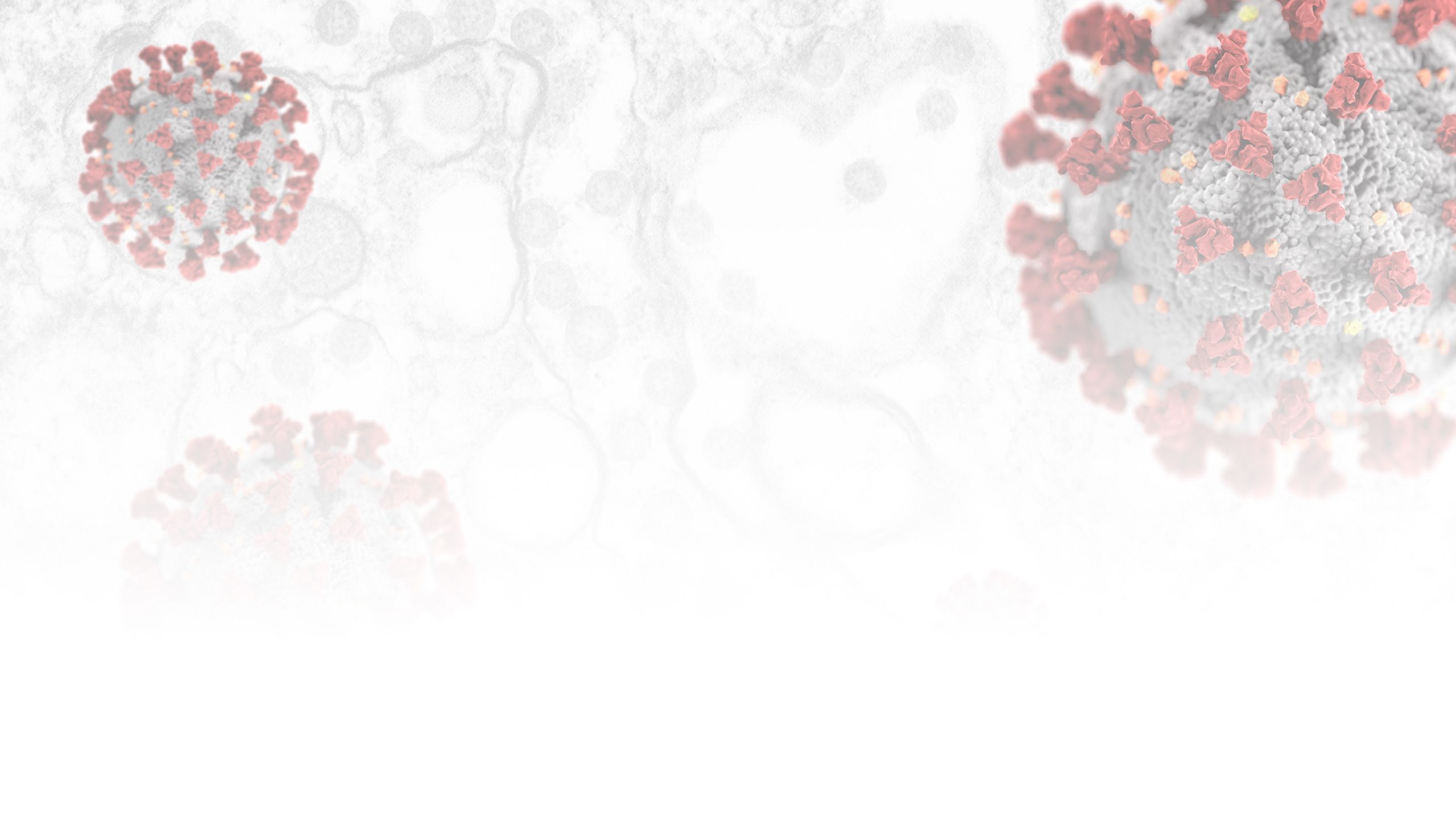 Uh Responds To Covid Wallpaper