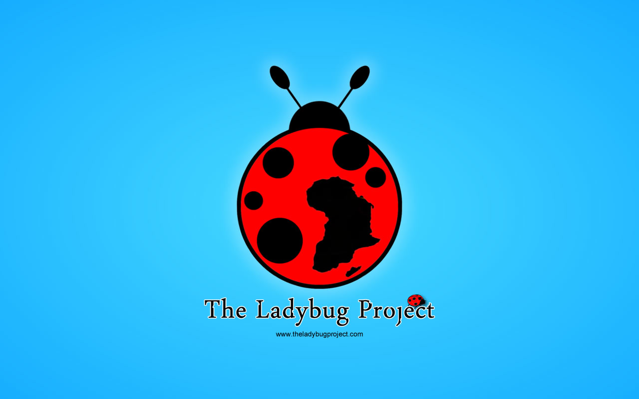 Wallpaper Education And Healthcare In Africa The Ladybug Project