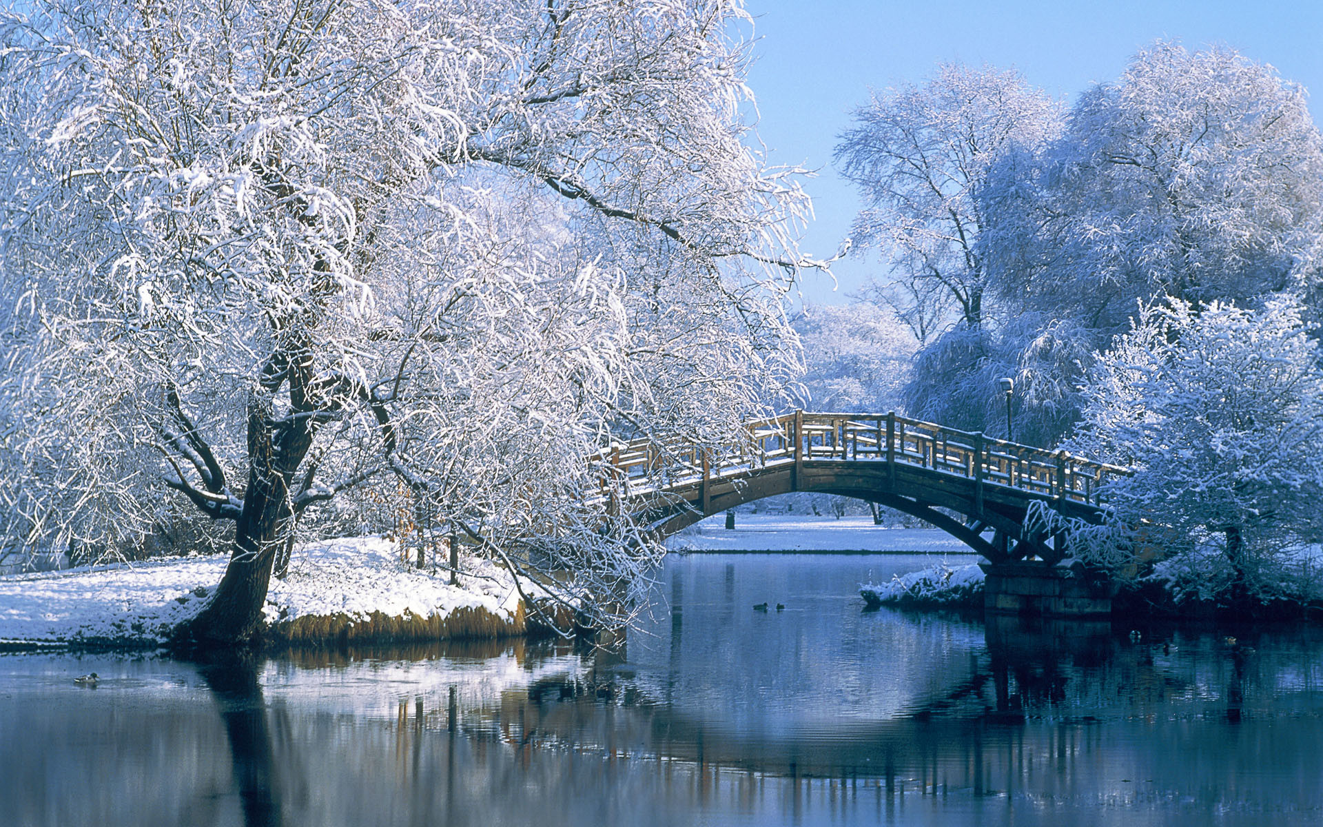 A serene winter landscape with a snow-covered wooden bridge arching over a calm pond, surrounded by frost-covered trees