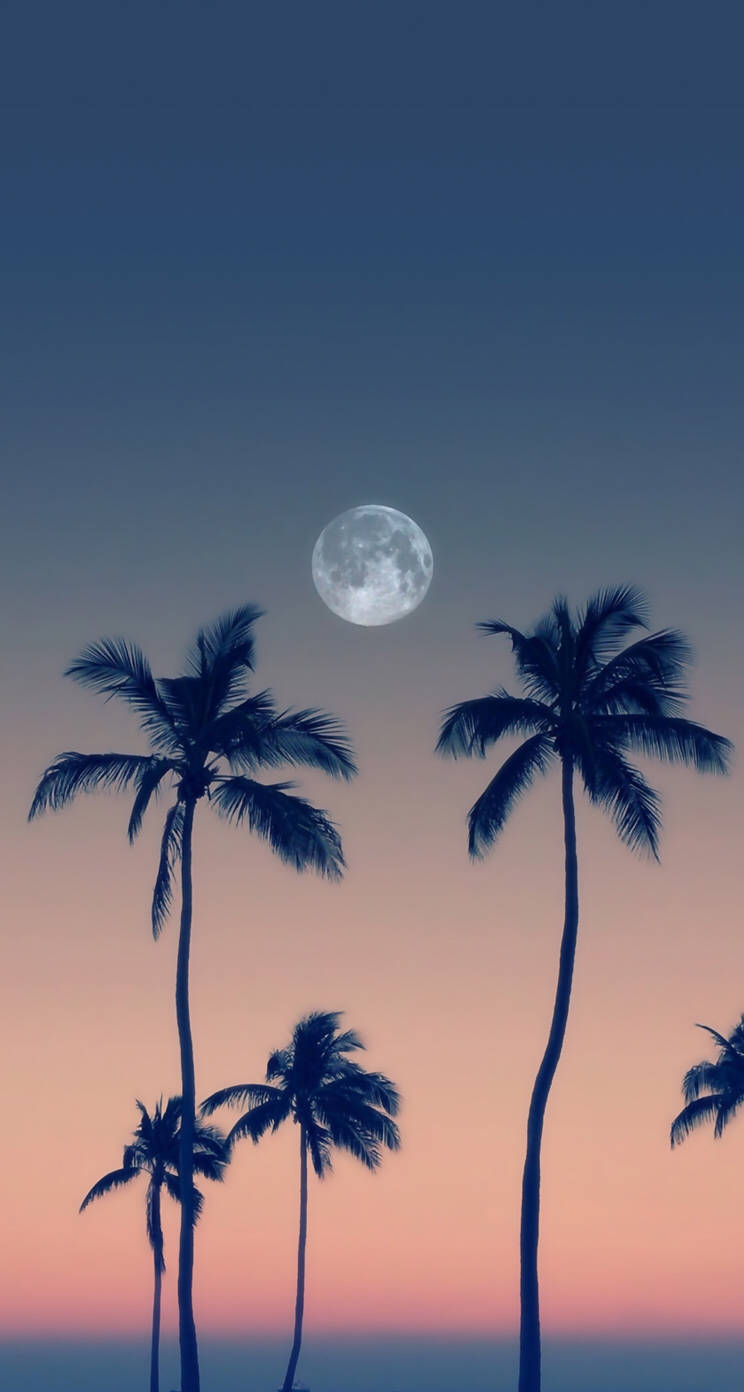 Top Moon Phone Wallpaper Full HD 4k To Use