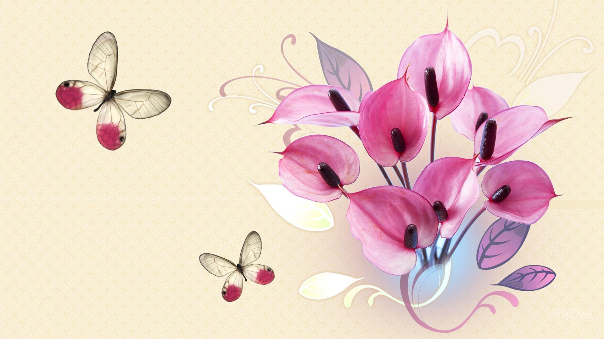 Peace Lilies Papillon HD Desktop Wallpaper Widescreen