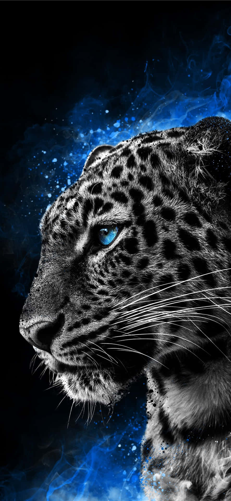 Animals iPhone Wallpaper