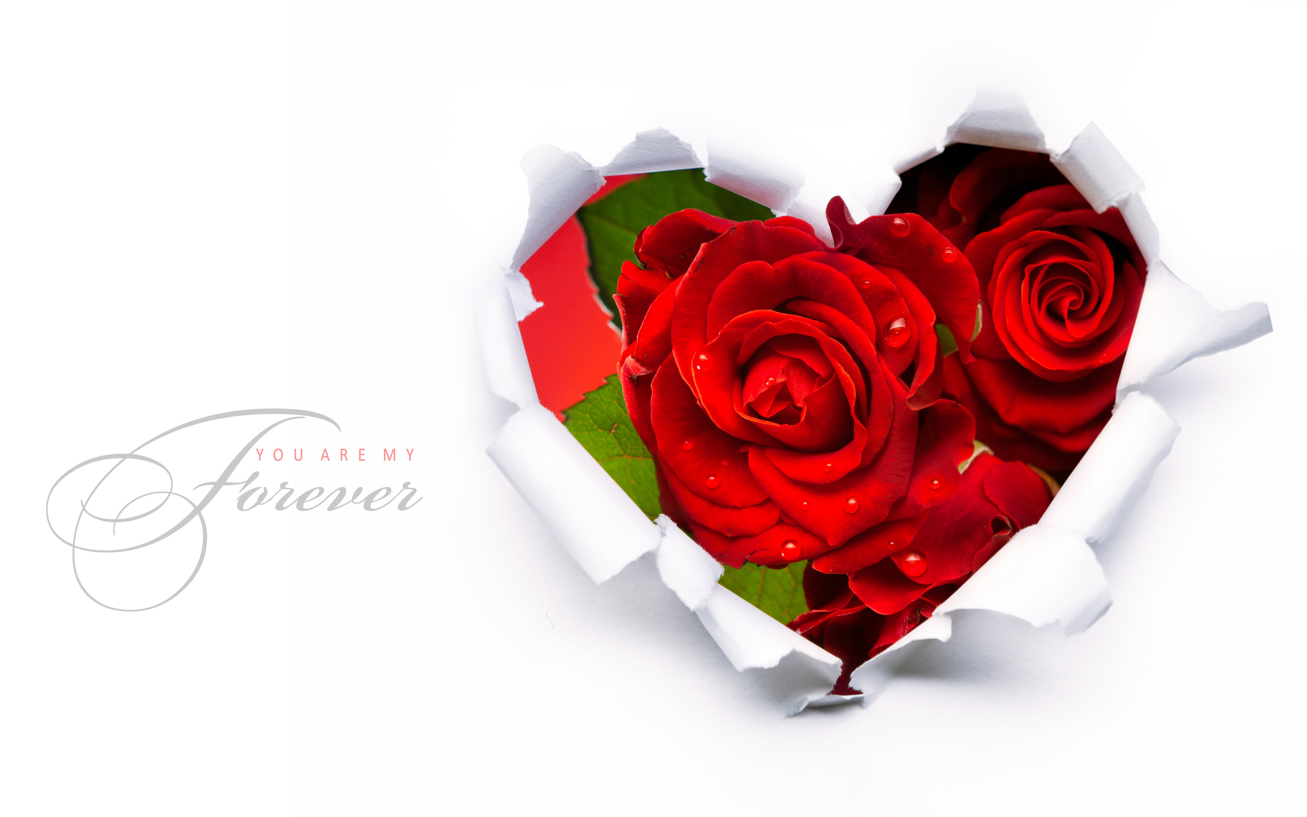 Red Roses In A Heart Shape Wallpaper