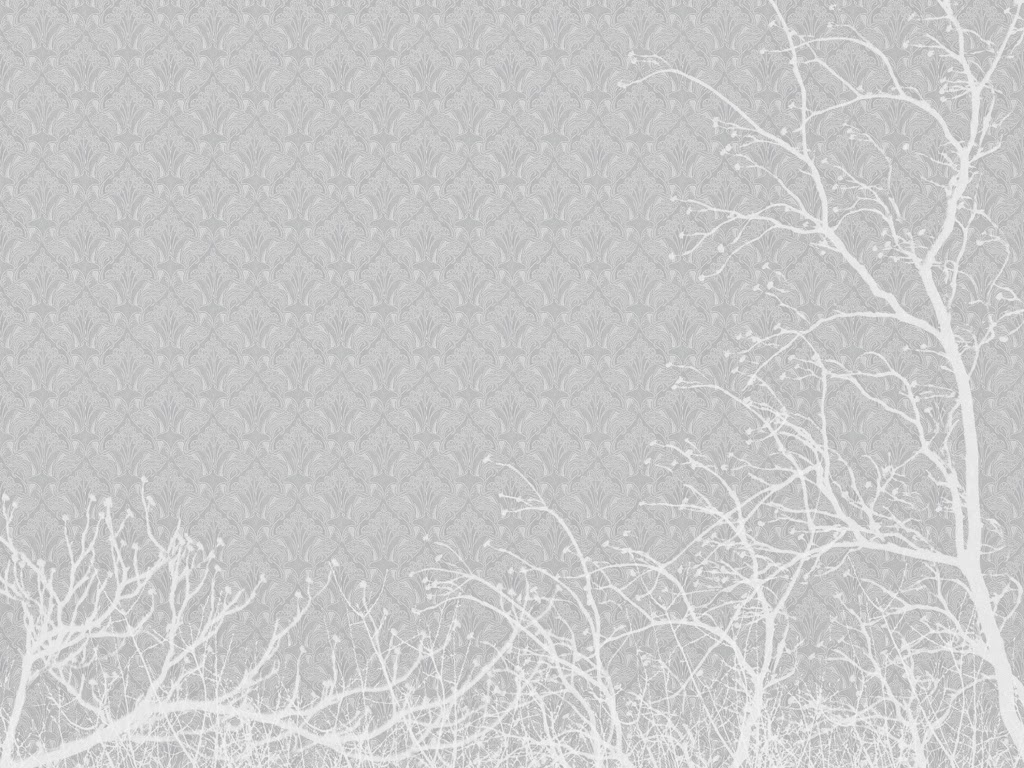 46+] Plain White Wallpapers HD - WallpaperSafari
