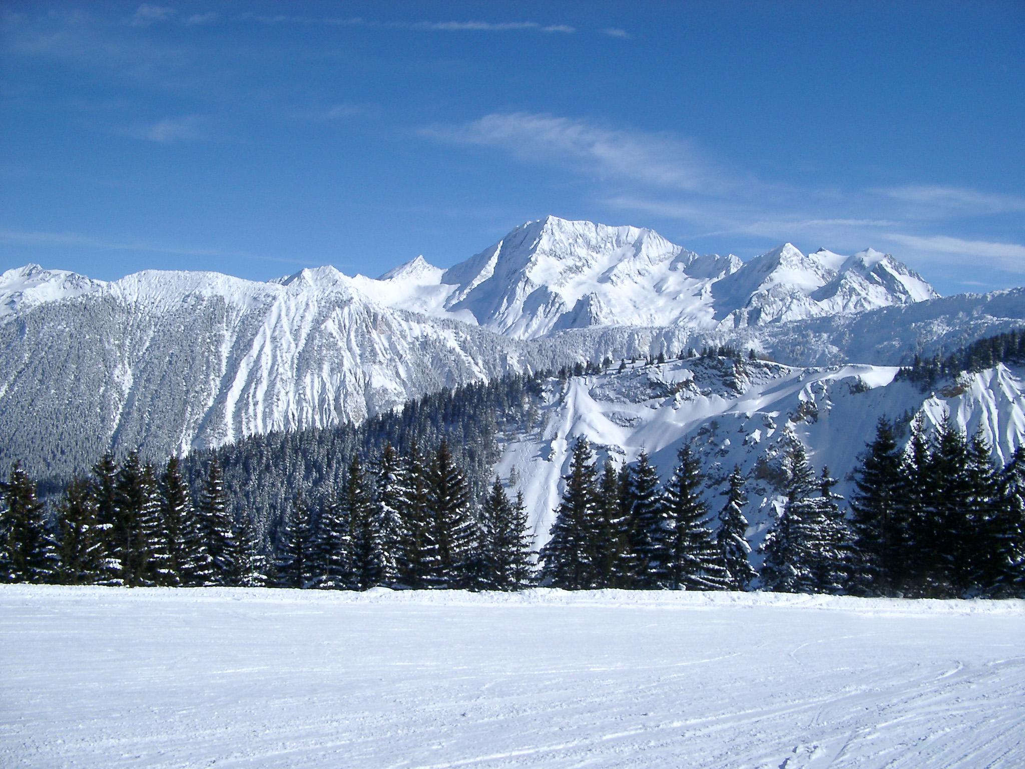  Mountains Fir Trees and Wide Field Filled with Snow on Winter Holiday