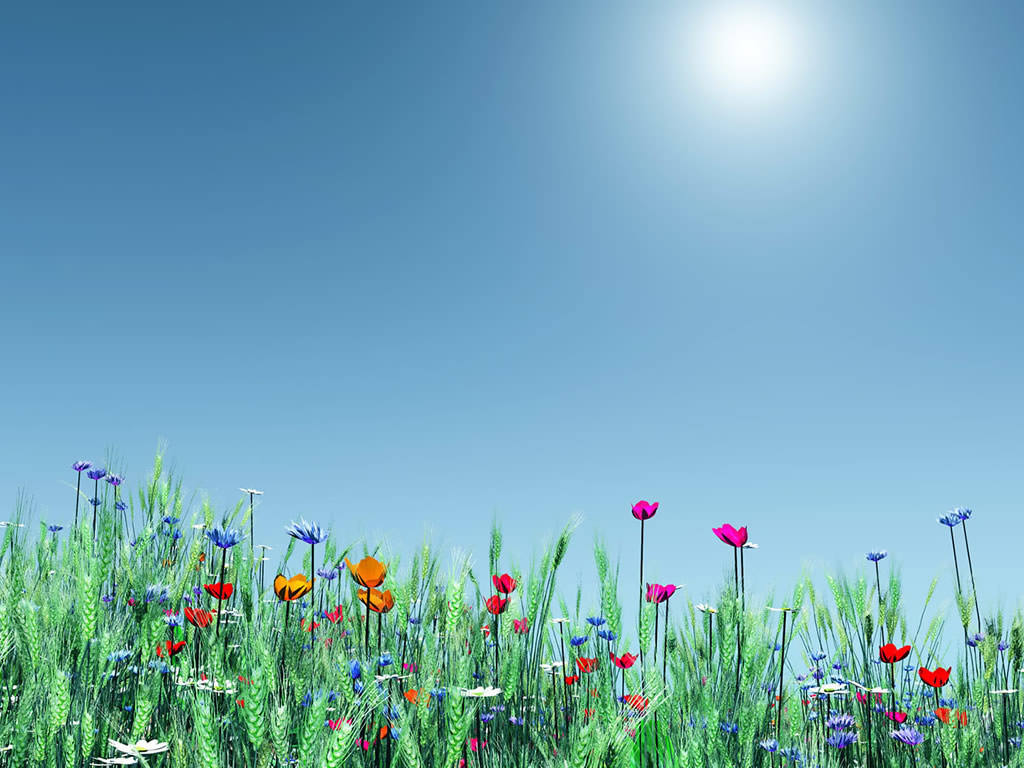 Free Spring Desktop Wallpaper Hd Art Hd 3d Nature Butterfly Dwonload