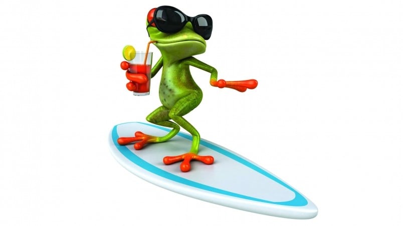 3D Frog Surfing HD Wallpaper   WallpaperFX