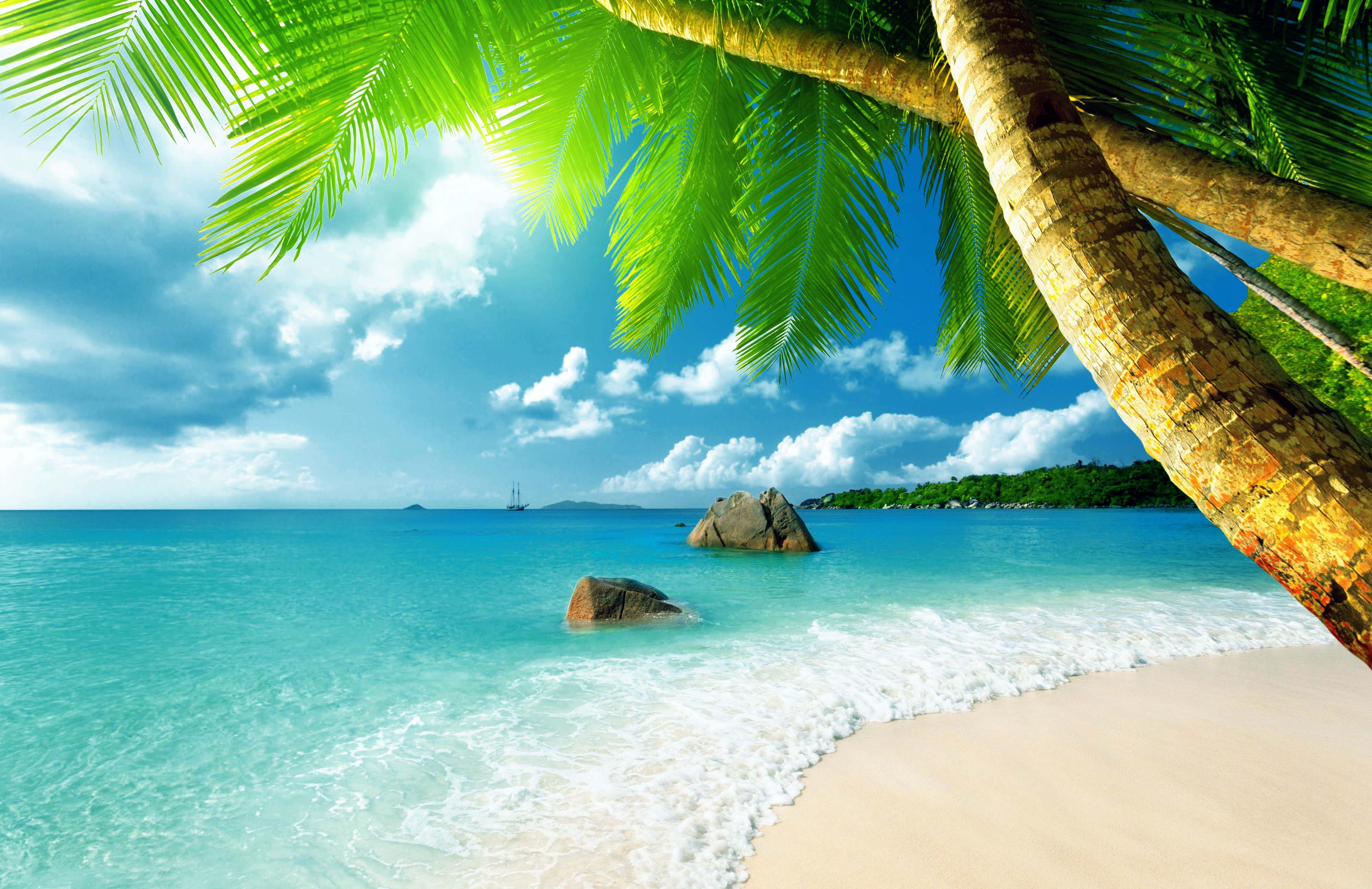 Beautiful Summer Season Hd Wallpaper Morewallpaper