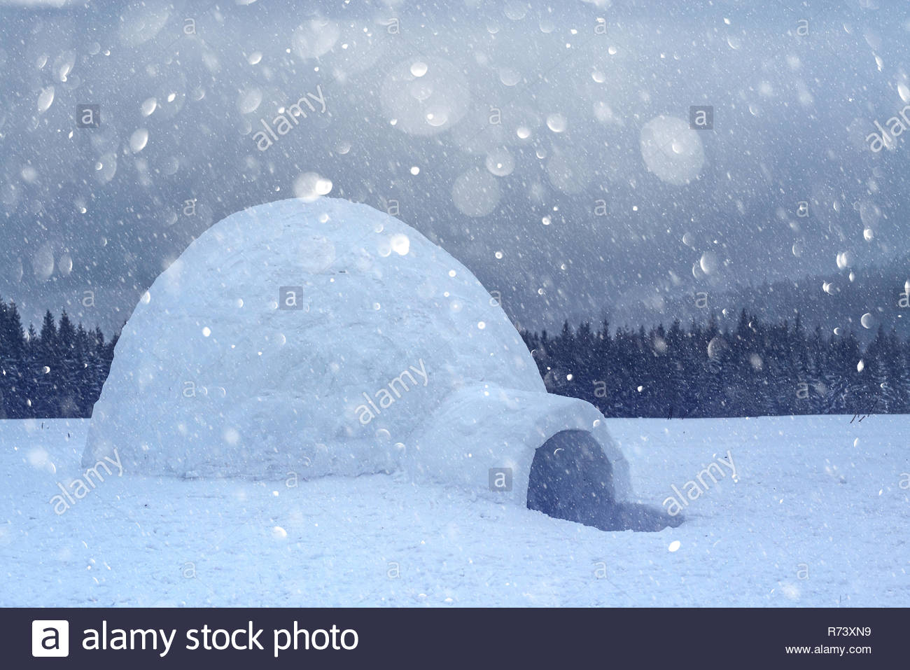 Real Snow Igloo House In The Winter Carpathian Mountains