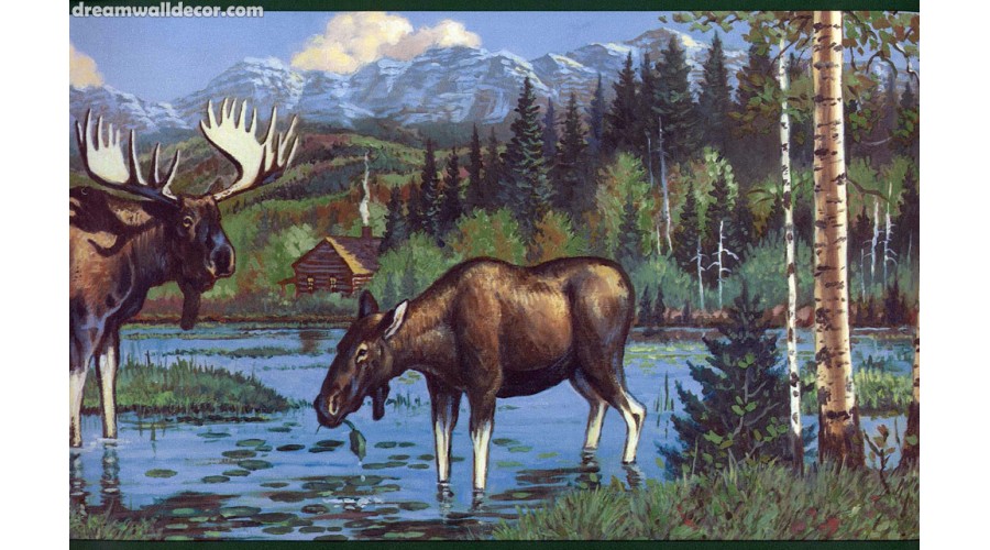 Moose Wallpaper High Definition
