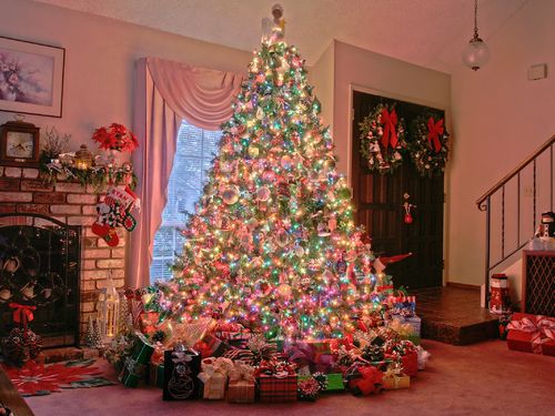 Home Blackberry Bold Holidays Christmas Tree