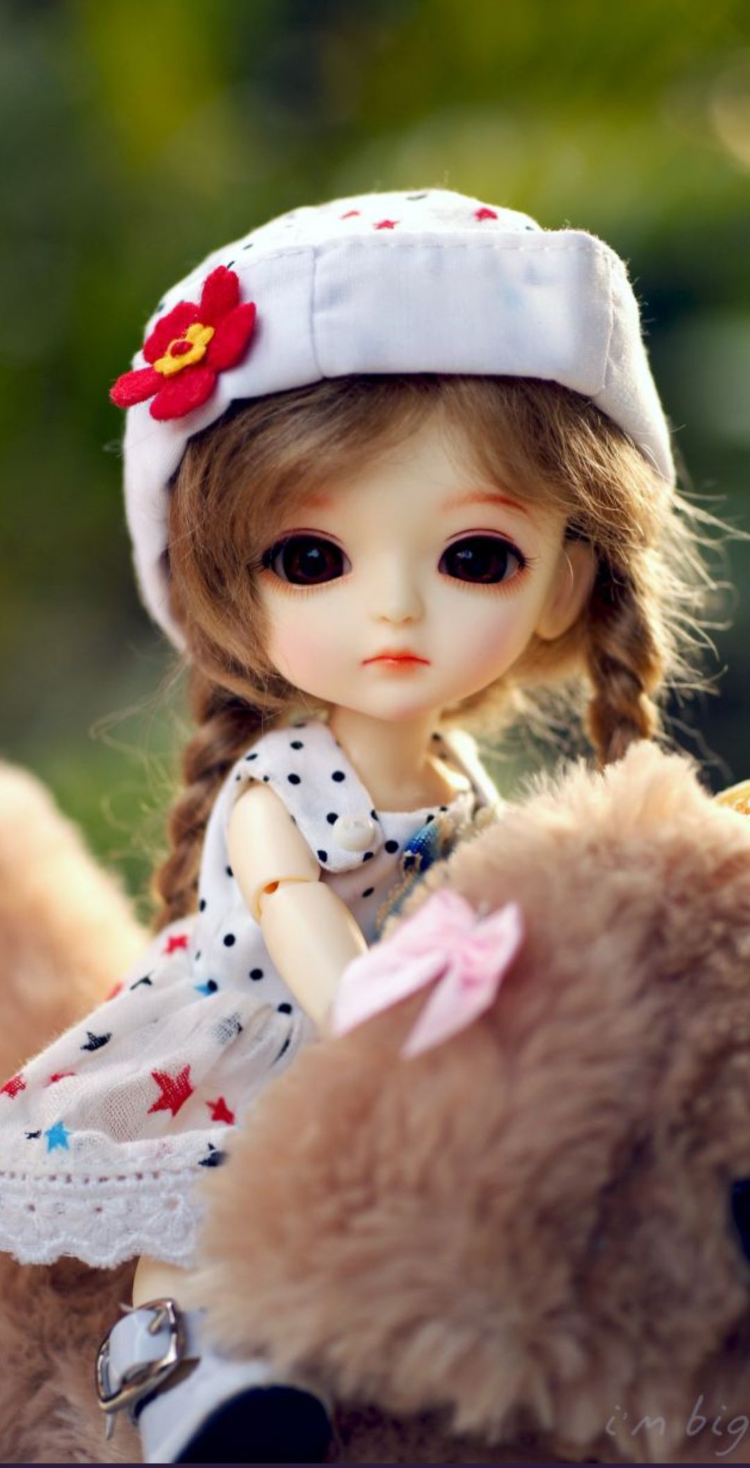 Top Doll Full HD Wallpaper