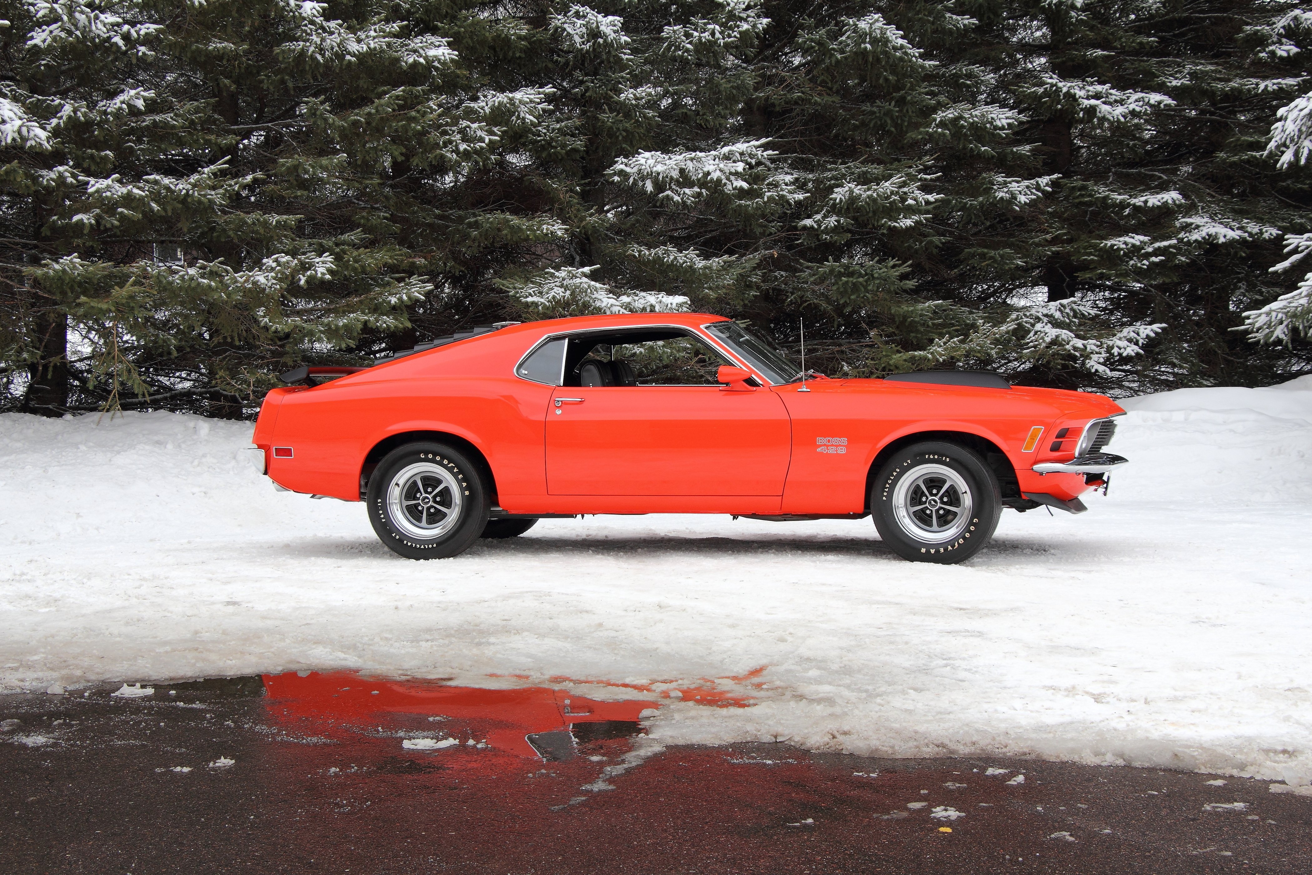 Boss Fastback Muscle Classic Usa Wallpaper Background