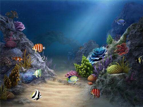 3d Tropical Fish Aquarium Wallpaper Mobile