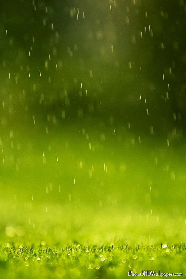 Rain Drops 640x960 Green Raindrops