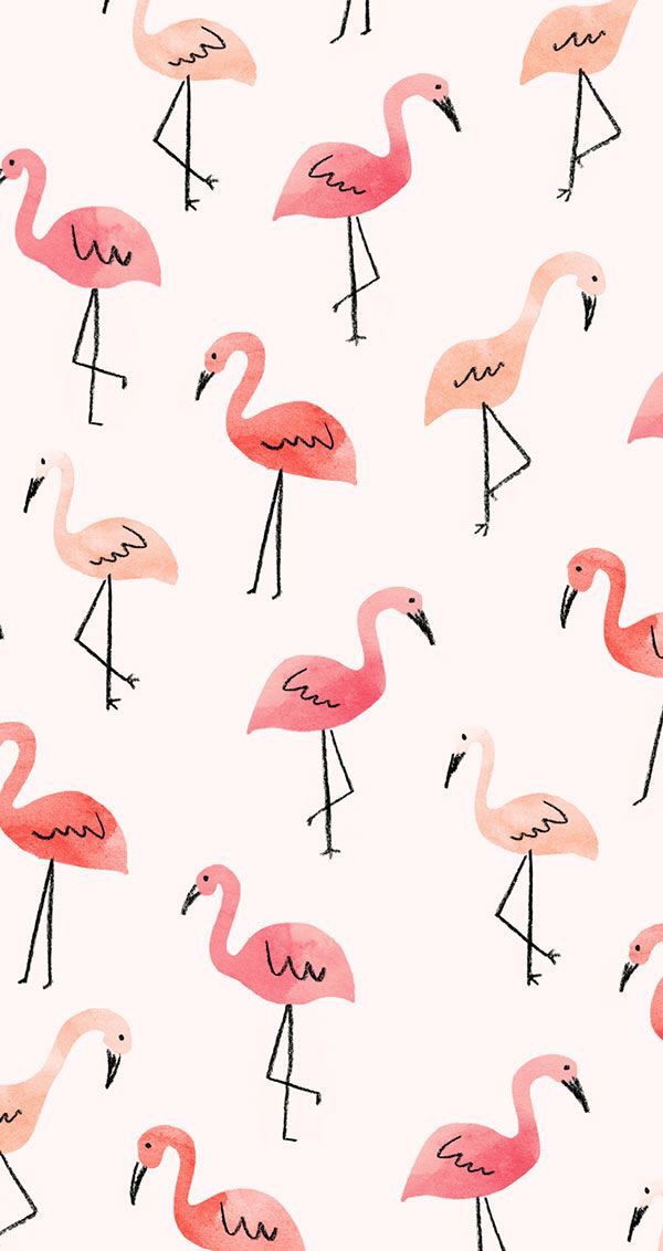 Pink Flamingo iPhone Wallpaper  17 Bright and Beautiful iPhone Wallpapers  That Scream Im Ready For Summer  POPSUGAR Tech Photo 18