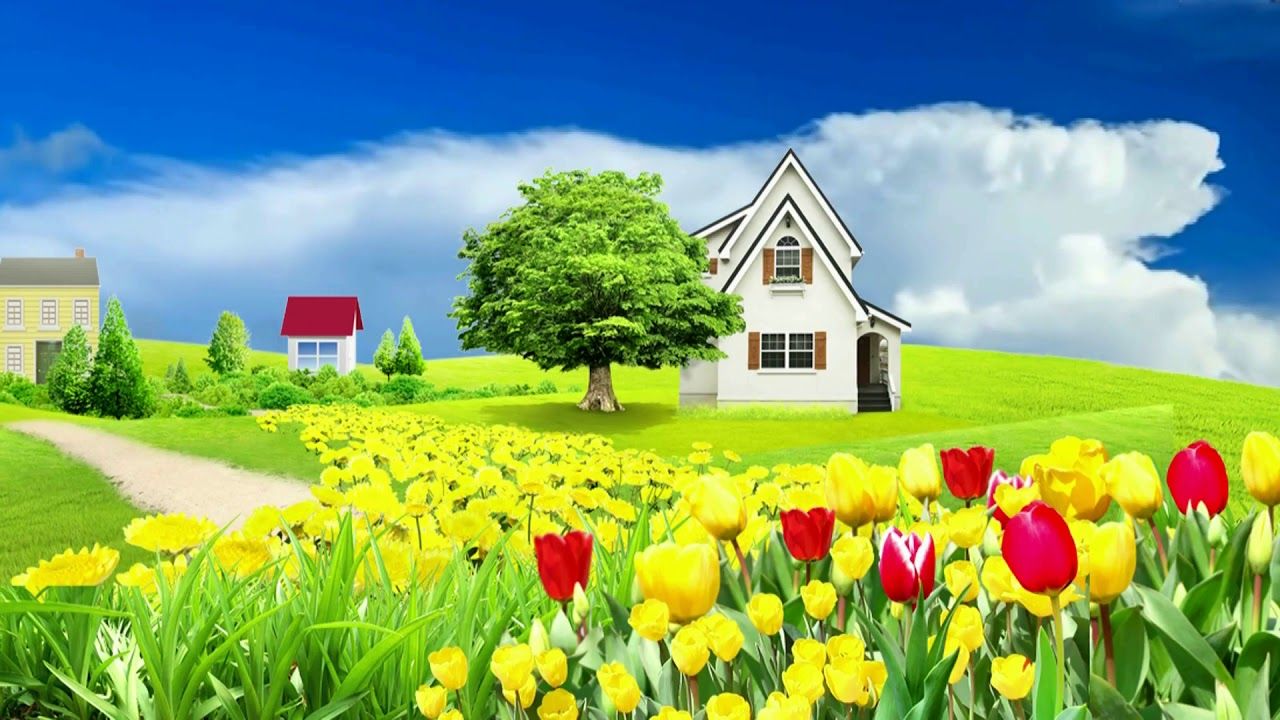 Beautiful 3d Animation With Villa Grass Garden Background