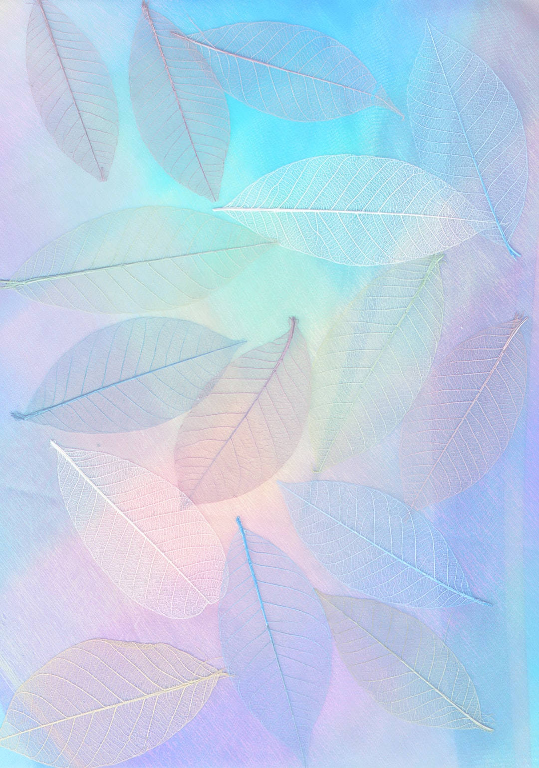 Aesthetic Cute Pastel Wallpaper