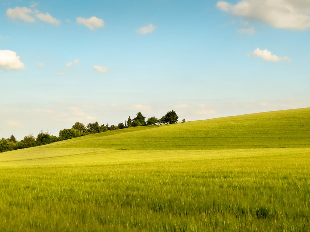 Grassland Scenery Wallpaper Desktop Background