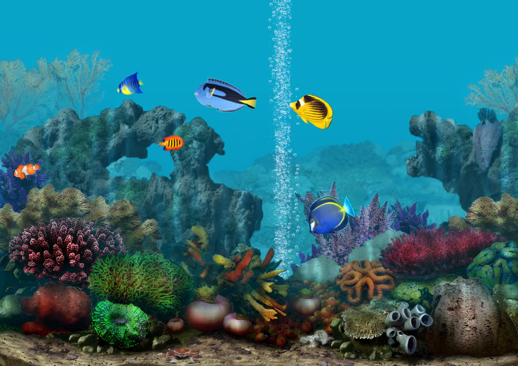 Background Graphics Code Aquarium Ments Pictures