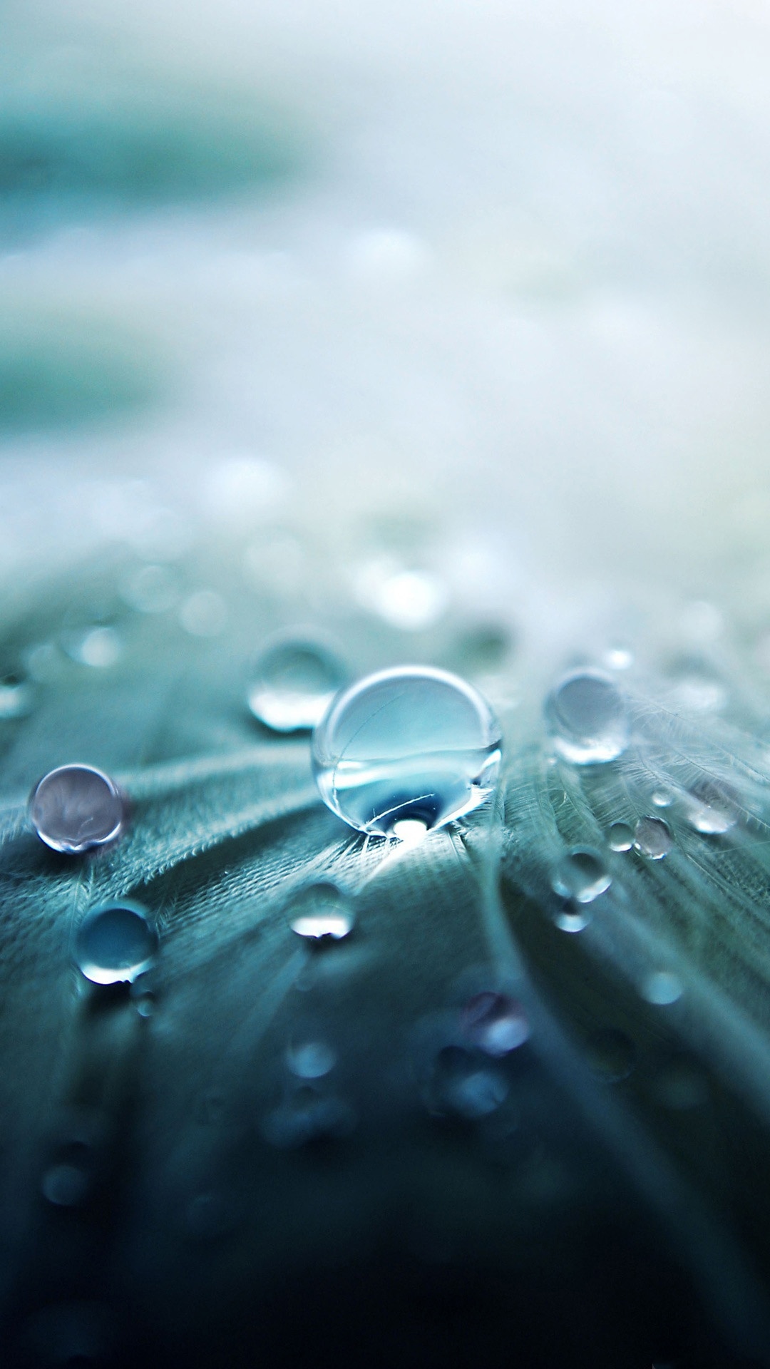 Nokia Lumia Mobile Wallpaper Water Drop Texture