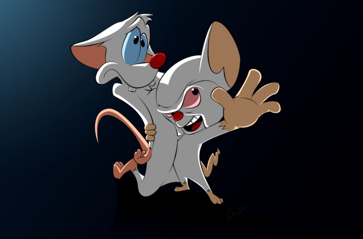 Pinky And The Brain Wallpaper Box