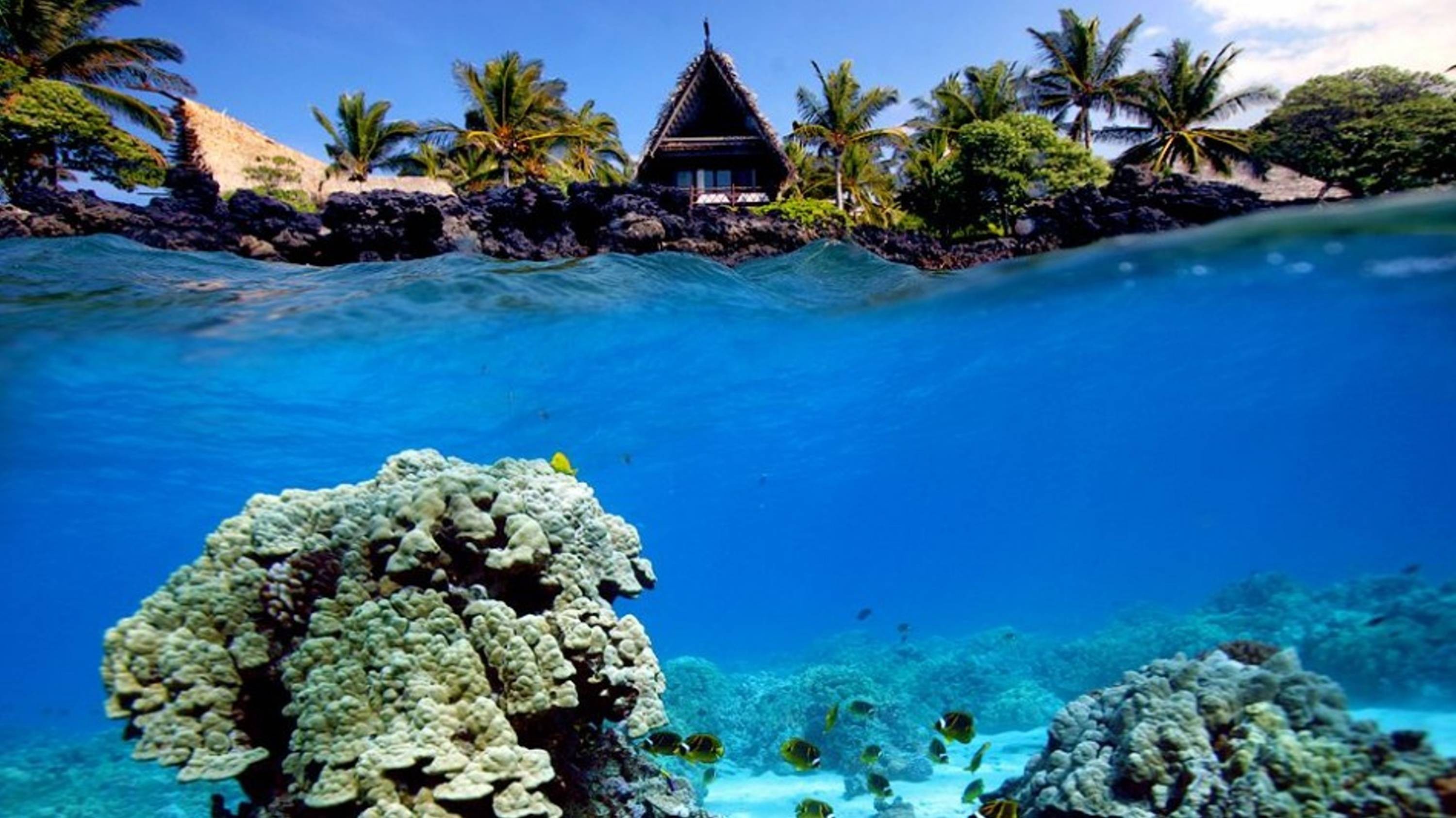 Underwater Shot Of Coral Reef And Beach Hut Wallpaper Allwallpaper
