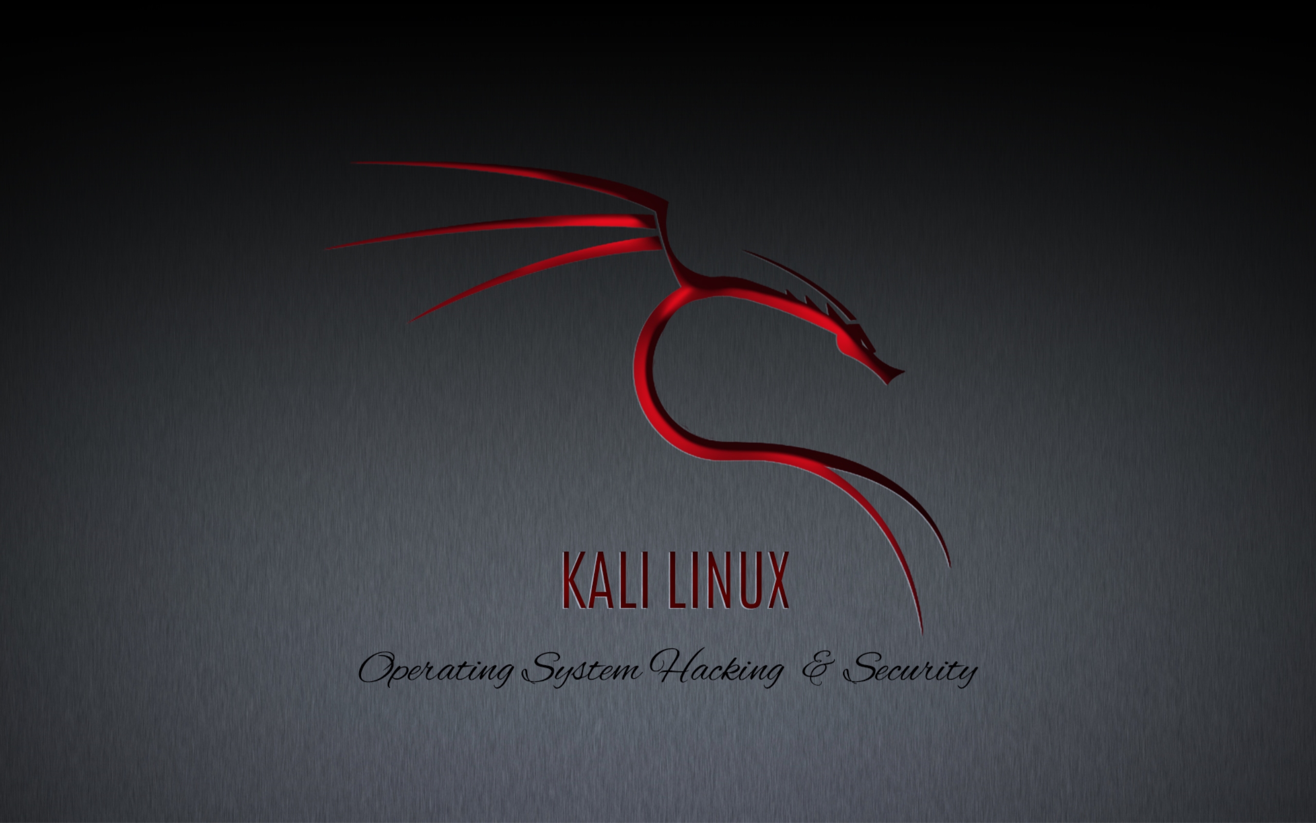 43 Kali Linux Wallpaper Hd On Wallpapersafari