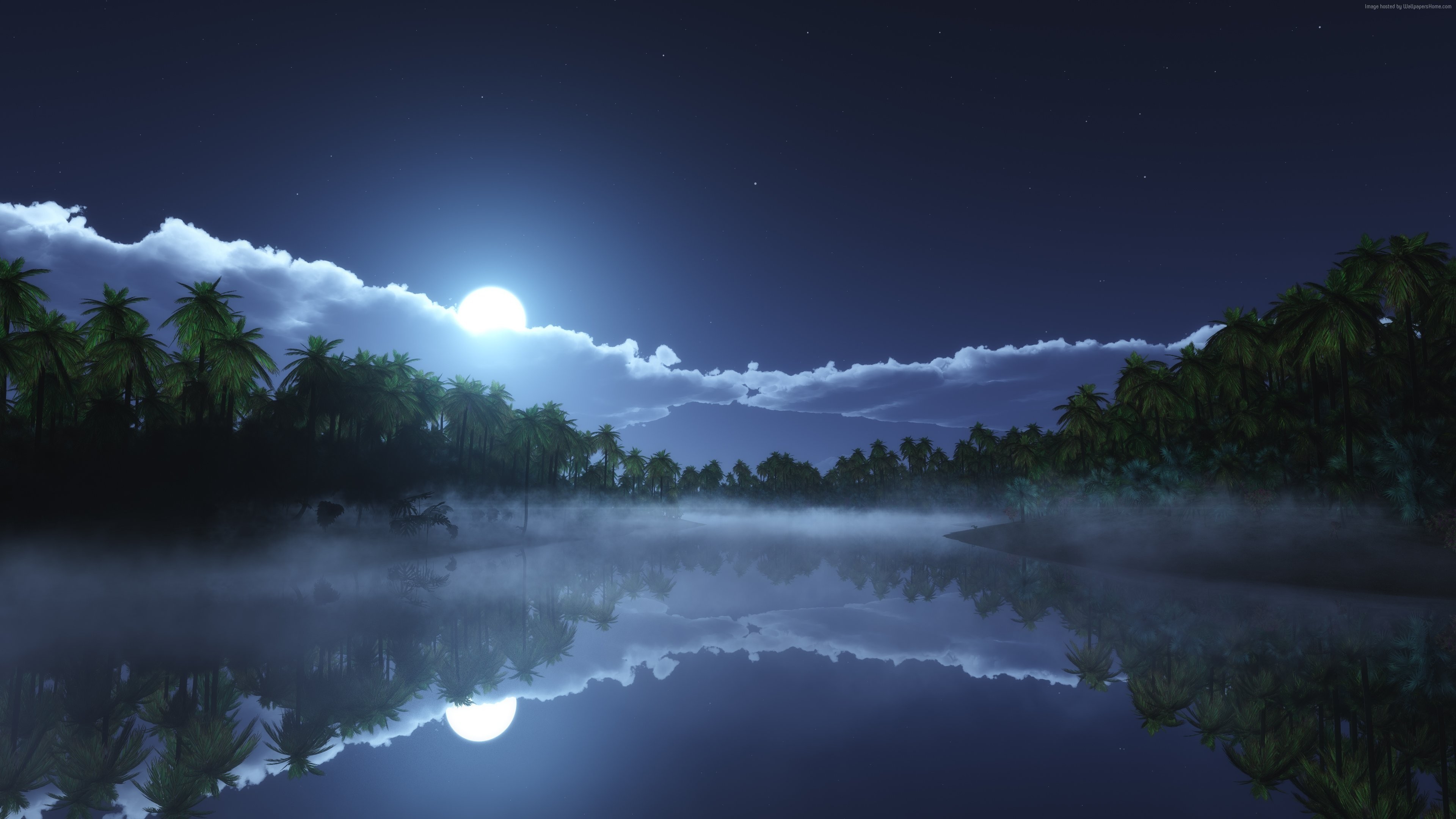 A serene 4k wallpaper of a tropical night sky with a bright moon reflecting in a calm river, surrounded by lush palm trees and a gentle mist