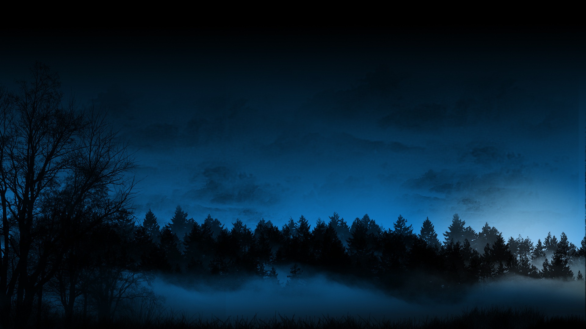 Trees Forest Night Fog Mist Blue Cg Sky Wallpaper