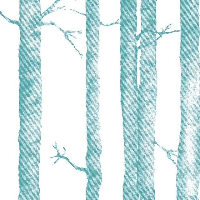 Aspen Tree Wallpaper Tiles Contemporary By Design