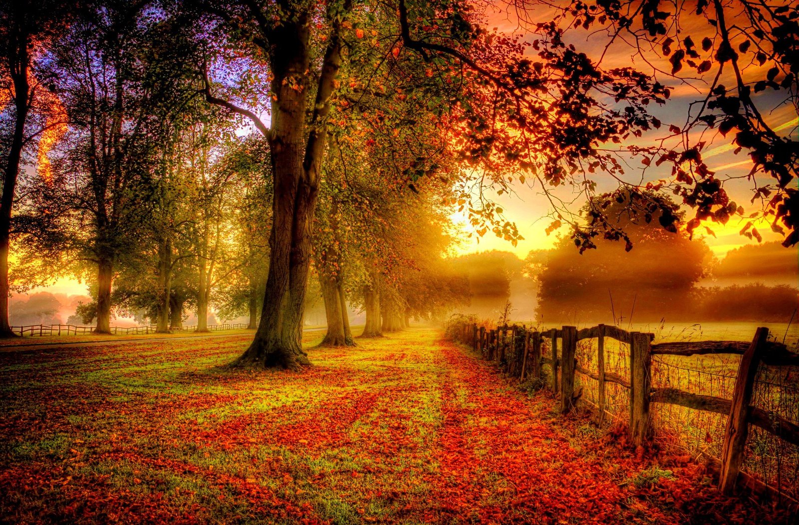 Beautiful Autumn Wallpaper