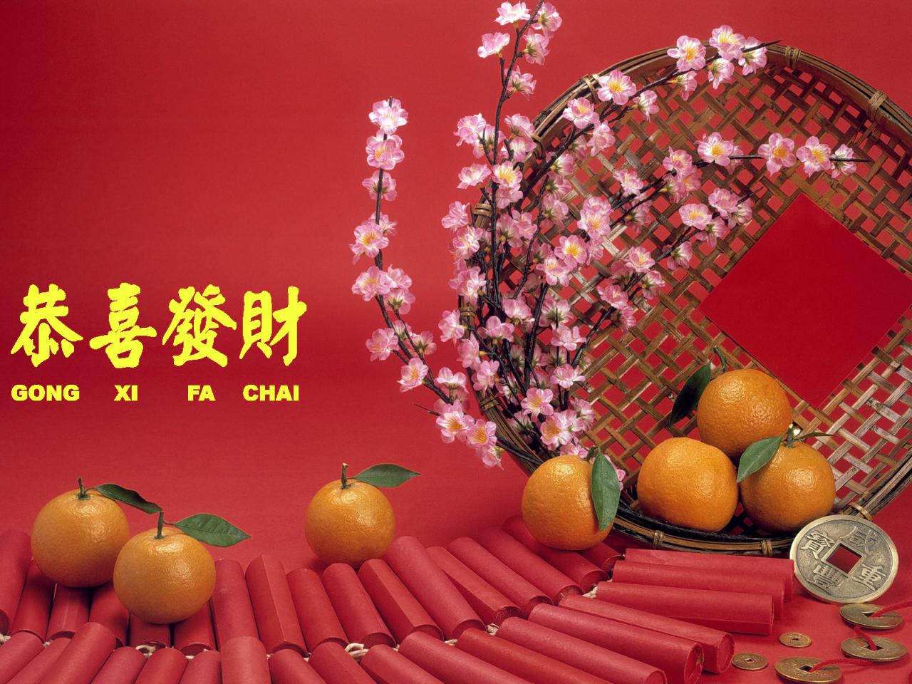  Fat Cai 2015 Wallpaper for Chinese New Year HD Wallpapers for Free