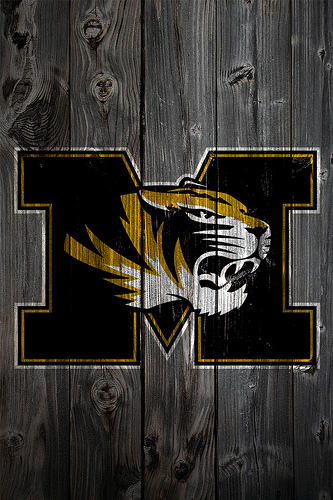 Missouri Tigers Wood iPhone 4 Background Flickr   Photo Sharing 333x500