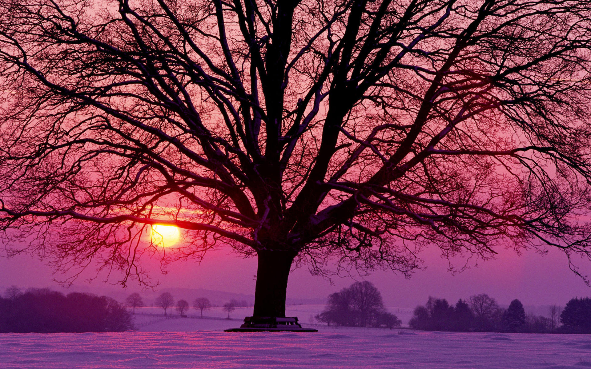 Winter Sunset By Iodaps Desktop Wallpaper