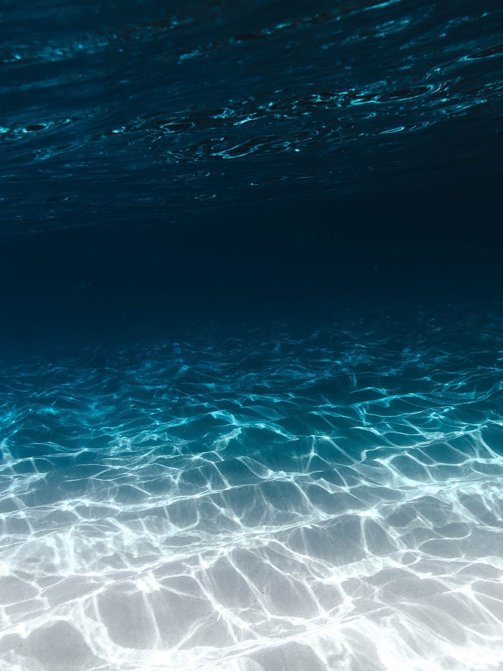 5000 Underwater Pictures and Images in HD  Pixabay