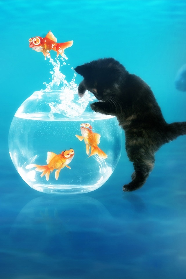 Cute Cat And Fish Ipod Touch Wallpapers