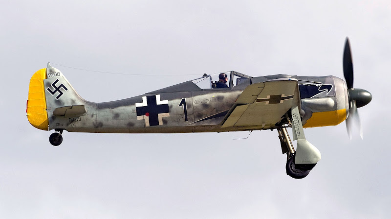 Fighter World War Ii Luftwaffe Warbird Fw190 Focke Wulf