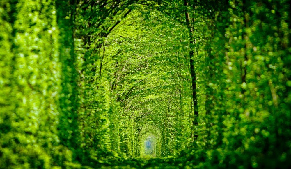 Panoramio Photo Of Tunnel Love Ukraine