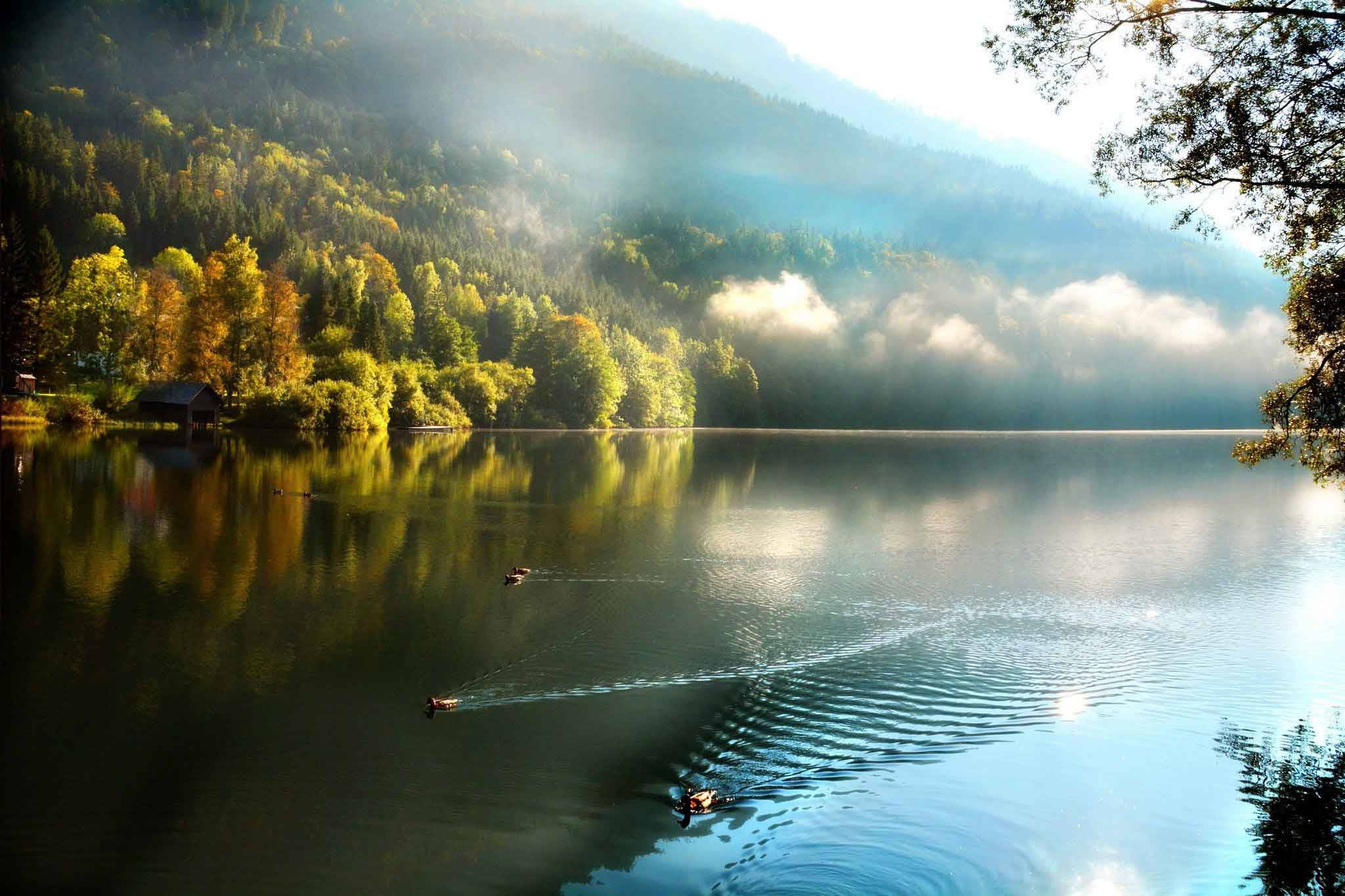 Full HD Nature Wallpaper