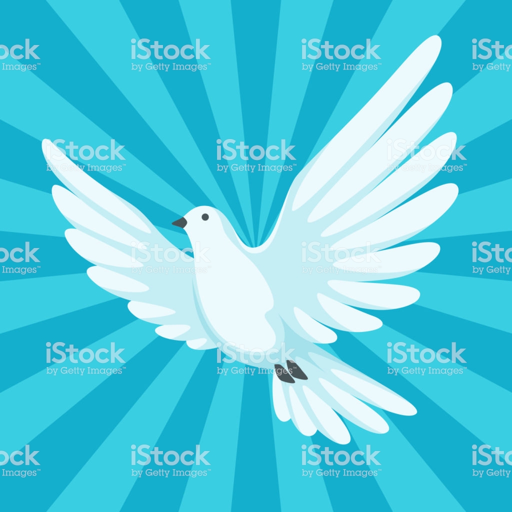 Background With White Dove Beautiful Pigeon Faith And Love Symbol