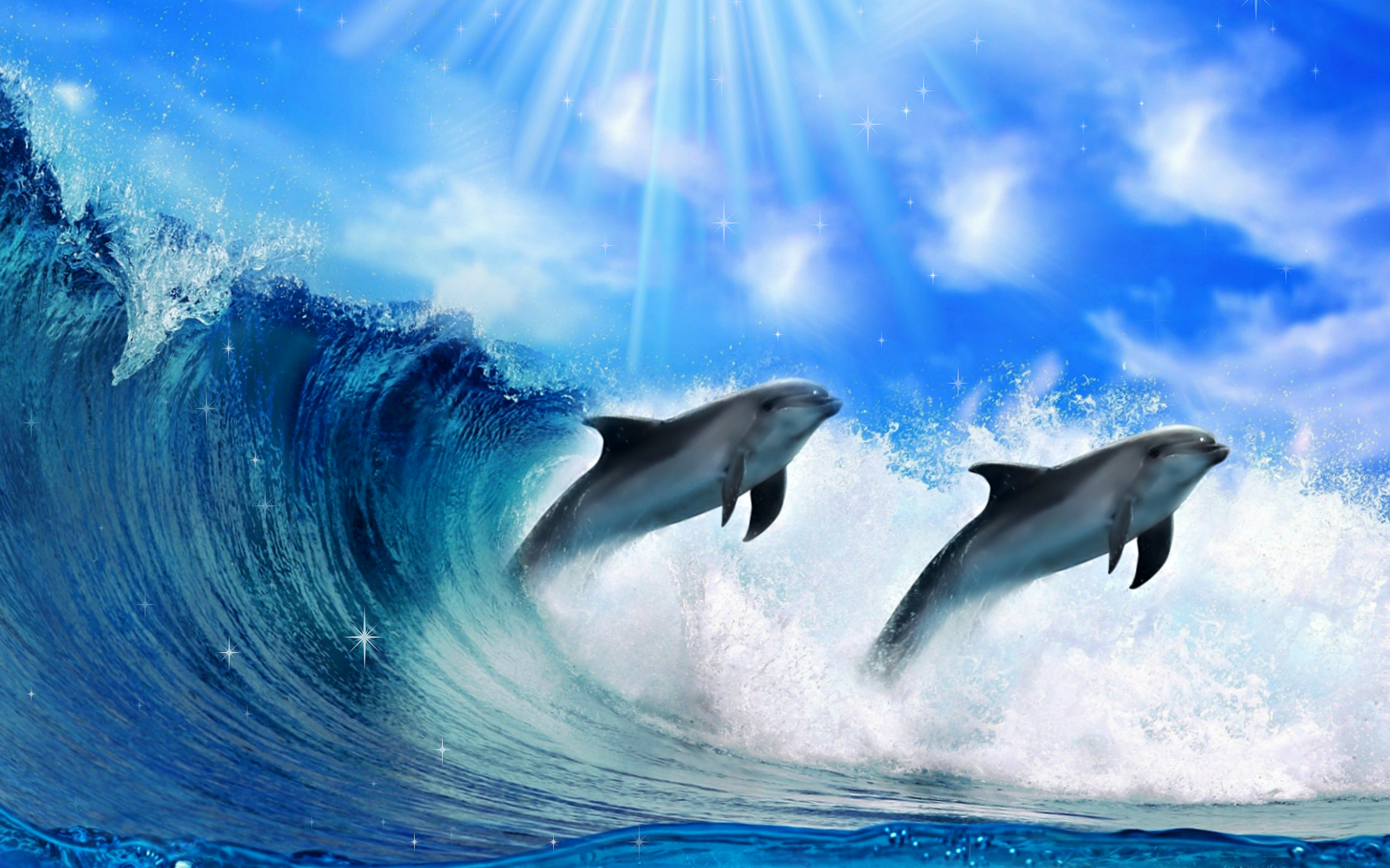 Pics Photos Best Top Desktop Dolphin Wallpaper HD