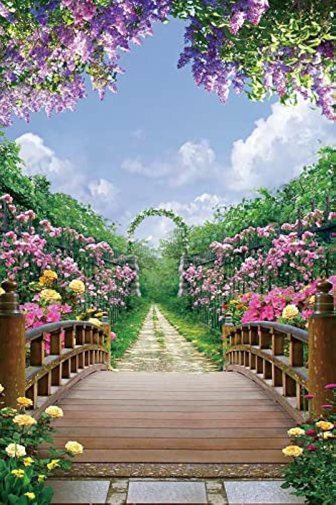 Amazon Spring Scenery Photography Background Outdoor