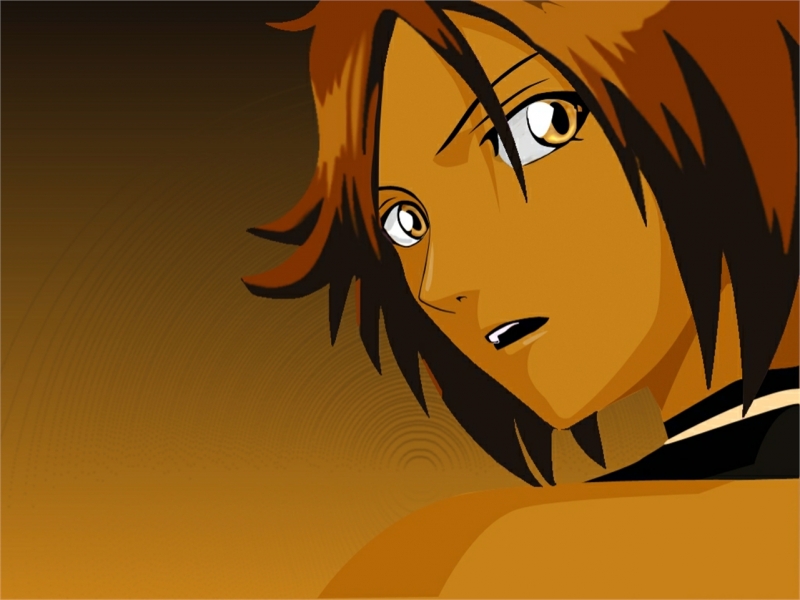 Yoruichi Shihouin Anime Bleach HD Desktop Wallpaper