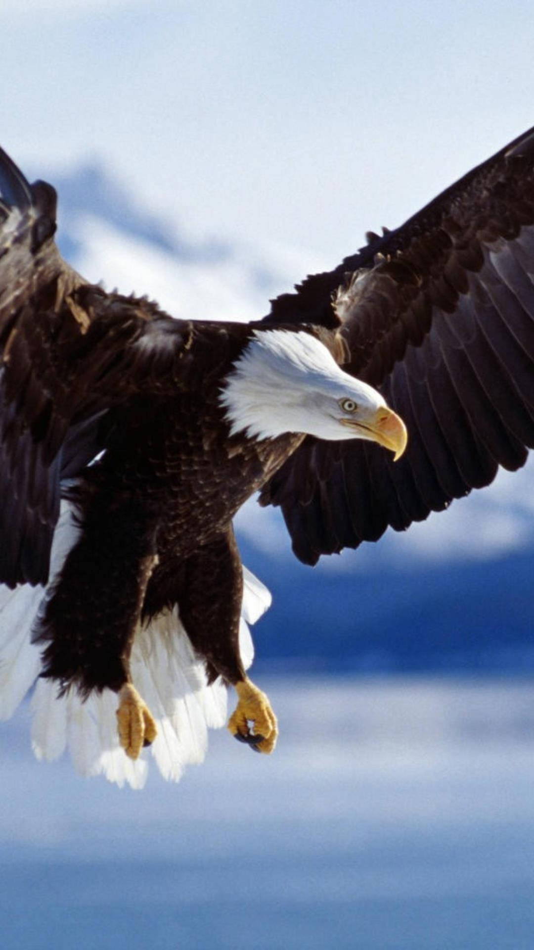 America iPhone Wallpaper