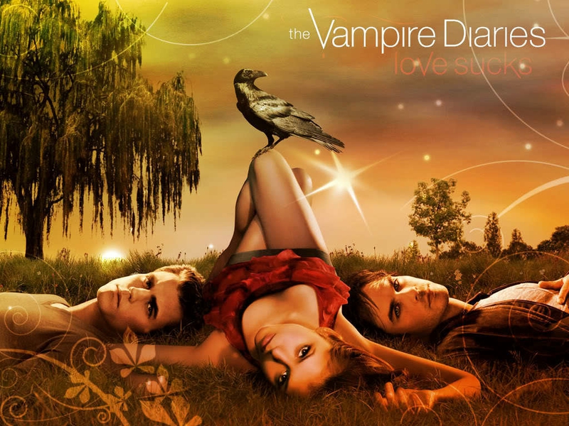 Cool Damon The Vampire Diaries Entertainment Tv Series HD Wallpaper